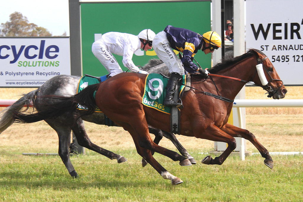 St Arnaud Cup winner Pittsburgh Pirate and jockey Neil Farley. PHOTOS: MATT RIGBY