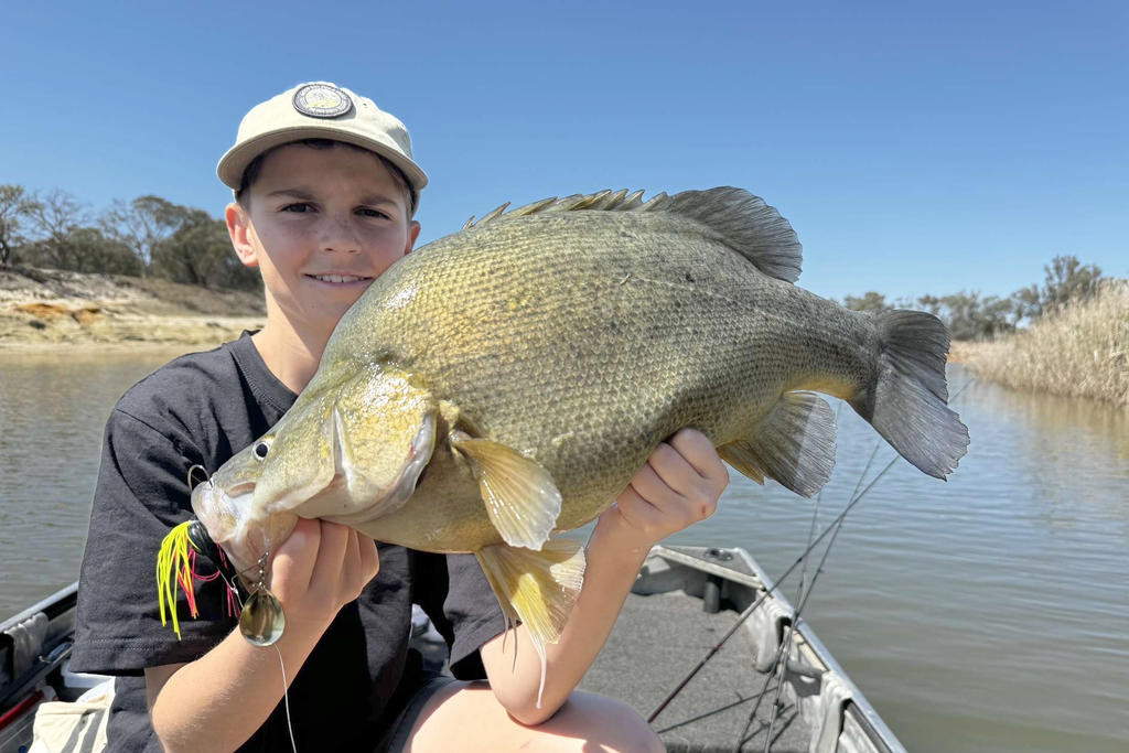 Campbell Stasinowsky from Cams One Last Cast caught some big Yellowbelly in the Wimmera River on October 3.