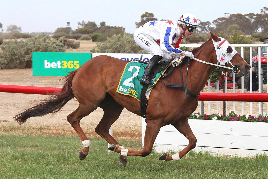 Race 6, the first of Dane Smith wins, Take the Prize, ridden by Sheridan Clarke.