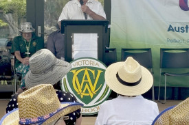 Hindmarsh mayor Ron Ismay.