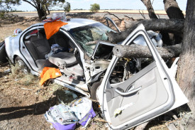 A large tree branch, snapped by the force of the accident, pierced through the car’s windscreen, narrowly missing the driver. Photo: DAVID WARD