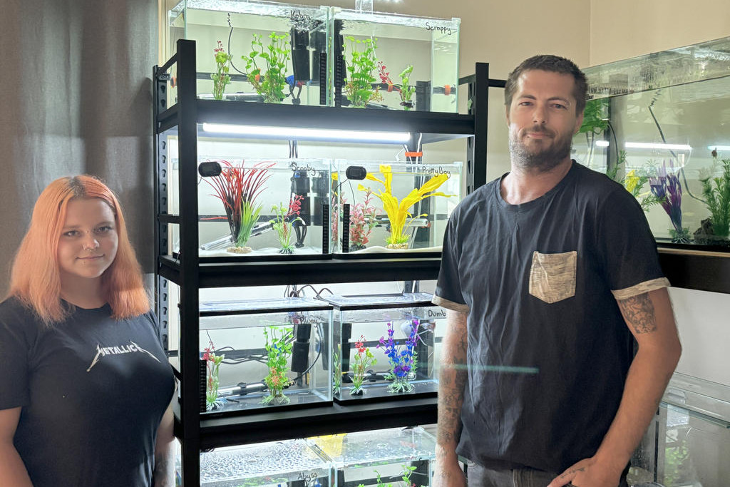 Bailey Paige and Anthony Innes with eight out of their 21 fish tanks. Photo: CAITLIN MENADUE