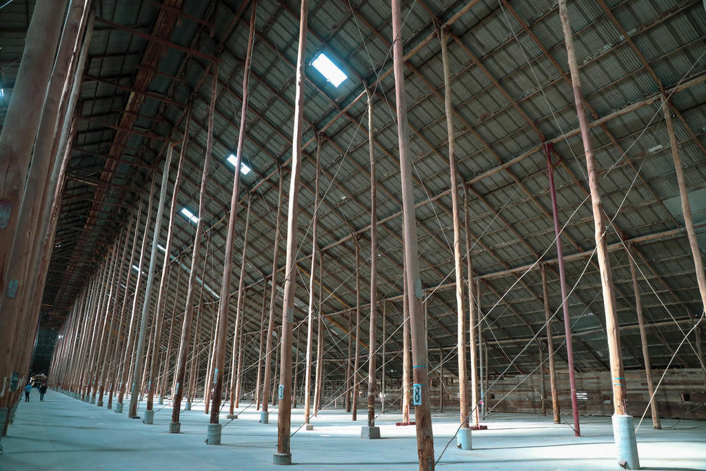 Murtoa Stick Shed stands tall against the elements, but extreme heat has forced the cancellation of this year's Shed Day. Photo: ROSS BARLOW