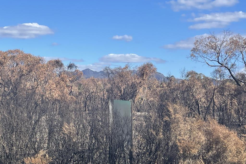 Looking towards the Grampians after the December-January fires.