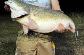Native Temptation Baits’ Thomas Paterson with a one metre Murray Cod caught at Taylors Lake.