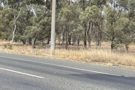 Police tape near the scene of the Western Highway suspected hit-run incident at Kiata