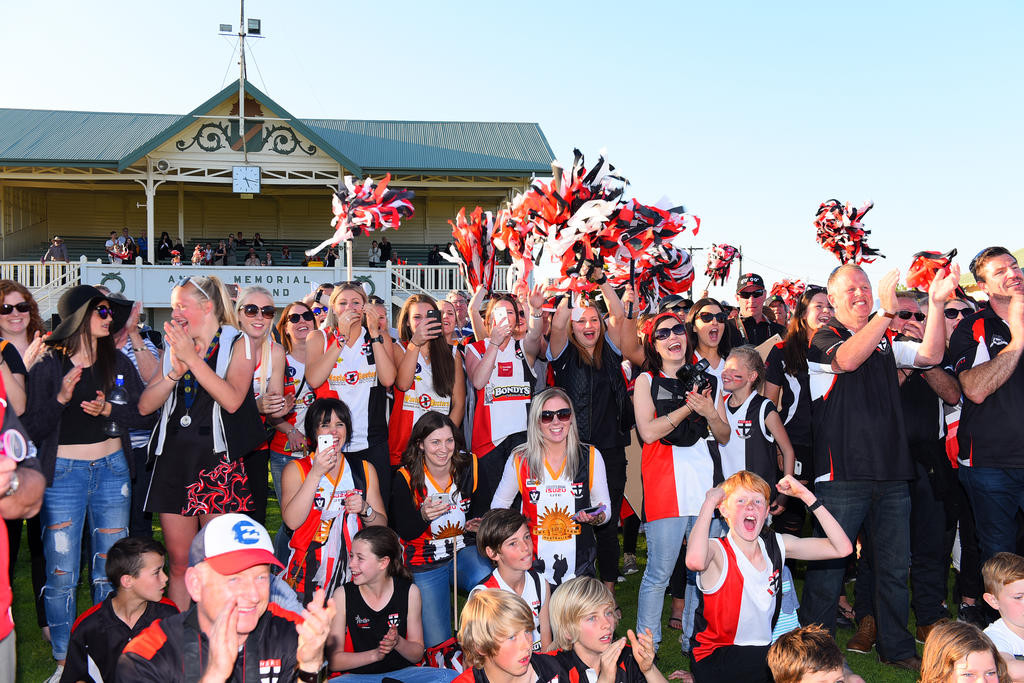 Fans celebrate the 2015 premiership wins.