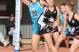 Codie Sanford.