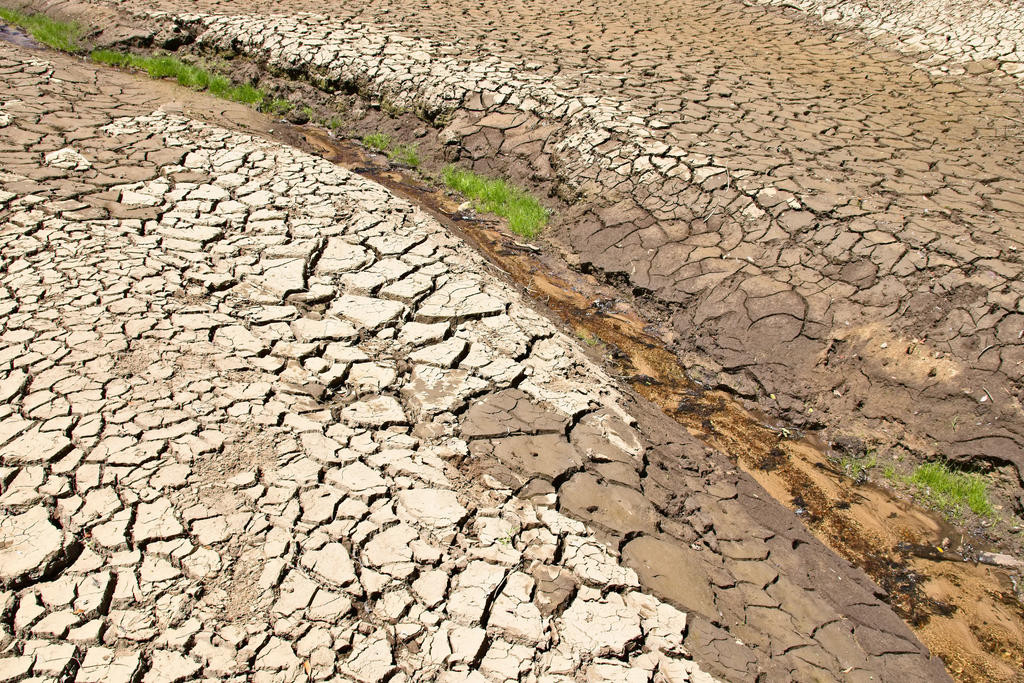 The Hindmarsh Shire Council has written to the federal Member of Parliament and the Victorian Shadow Minister for Agriculture regarding the drought residents are facing across the shire.