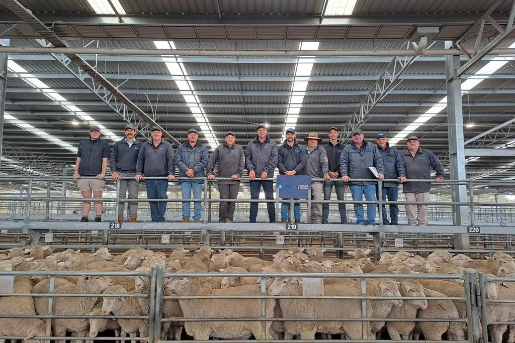It was a sea of smiles at the Horsham Livestock Exchange on May 28 when it set a record of $403 per head for crossbreed lambs, only to be broken in Warracknabeal on the same day.