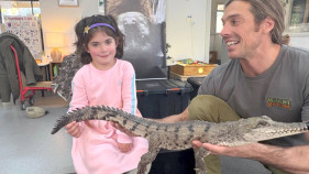 Fauna comes to kinder