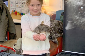 Phoebe cuddling Luna the Squirrel Glider.