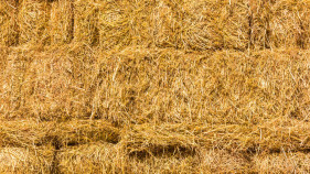 Premier relaxes fodder delivery conditions