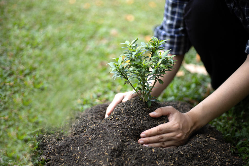Up to 40 volunteers are needed to help plant 2500 plants for the Rainbow and District Landcare Group on Saturday, July 26.