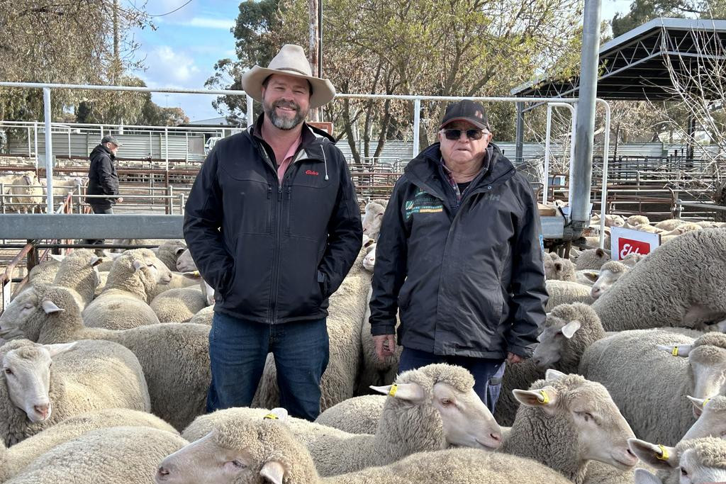 Elders Branch Manager Aaron Zwar with client Trevor Robinson, Ashfield Villa and the $410 lambs. Photo: SUPPLIED