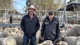 Warrack market report
