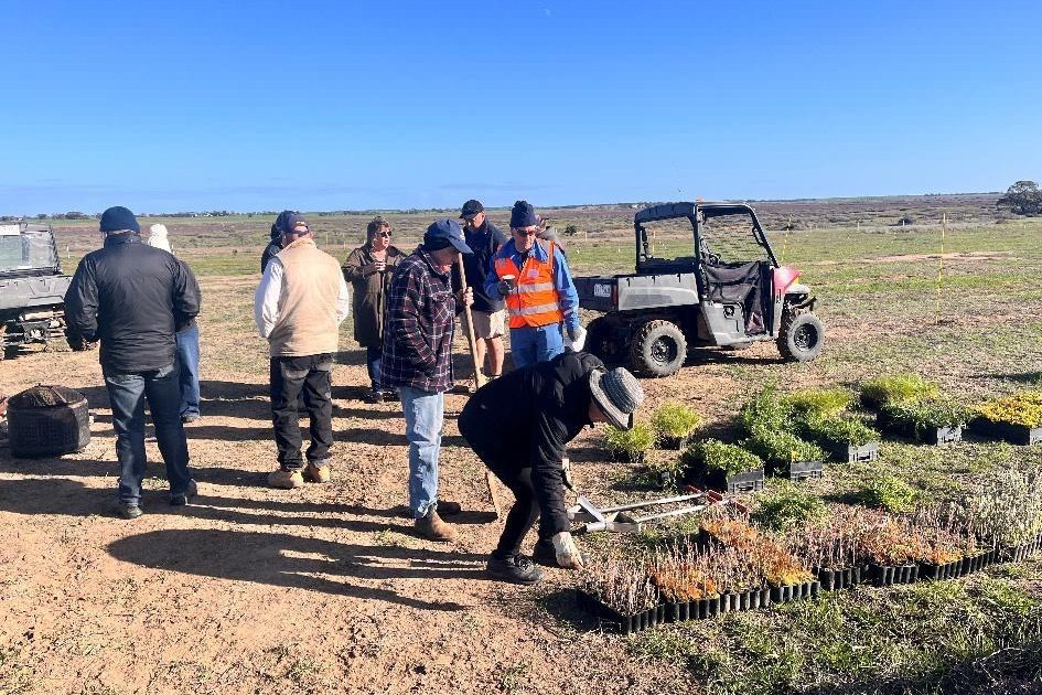 The Rainbow and District Landcare Group, alongside local volunteers planted more than 2200 plants at Rainbow Rises site over the weekend.