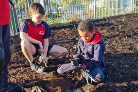 Tanner and Eli are planting in the garden.