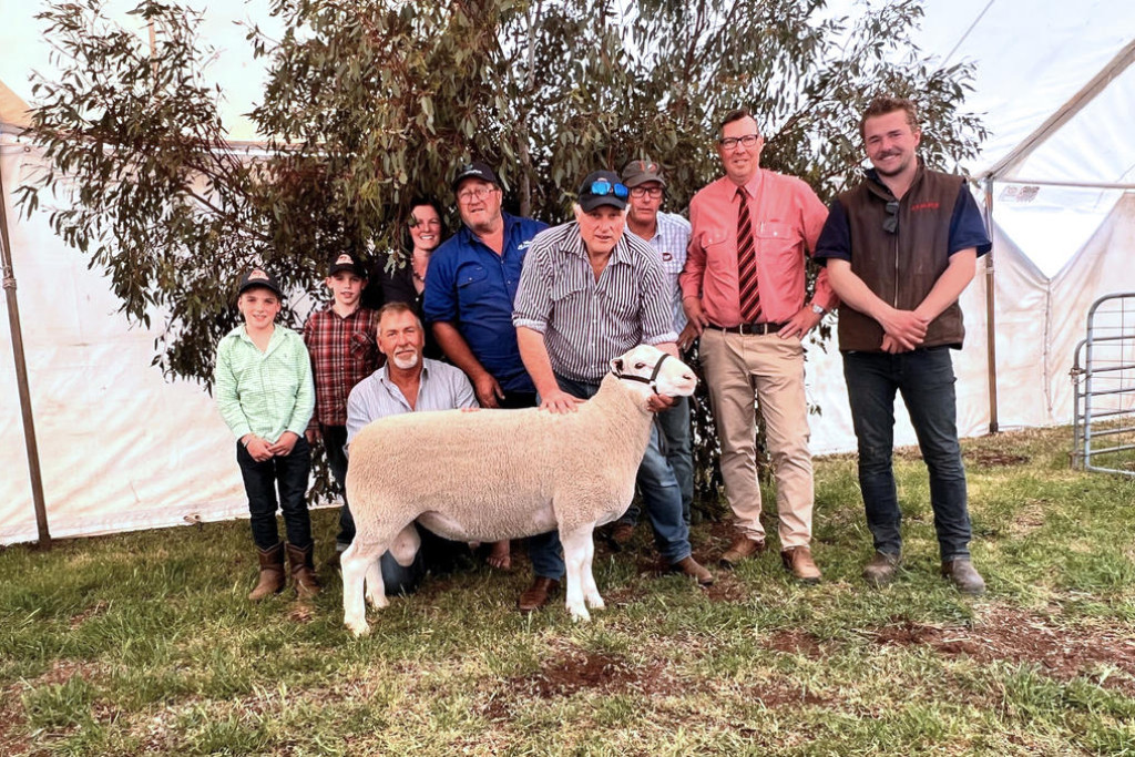 Photo - L to R - Beau and Oscar McLauchlin, Whitemore, Tas, David Pipkorn, Detpa Grove, Jeparit, Caroline McLauchlan, Whitemore, Andrew Donnan, Woomelang, Andrew McLauchlan, Whitemore, Lachlan Day, Bordertown, SA, Ross Milne, Elders Stud Stock manager, Hamilton, and Will Shepherd, Kybybolite, SA, with the top-priced ram.