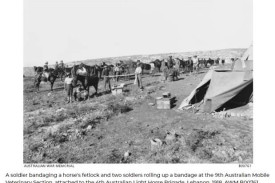 A soldier bandages a horse’s fetlock while two others roll a bandage at the 9th Australian Mobile Veterinary Section, attached to the 4th Australian Light Horse Brigade in Lebanon in 1918.