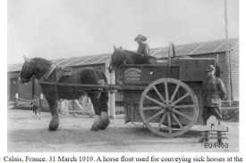 In Calais, France, on March 31 1919, soldiers pose with a horse float, used for conveying sick horses at the Australian Veterinary Hospital.