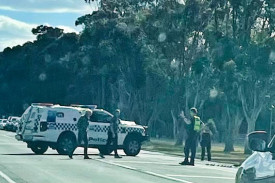 The cutest traffic stop of the year: Horsham Police came to the rescue of a mother duck and her fluffy entourage attempting to cross Natimuk Road on Tuesday.