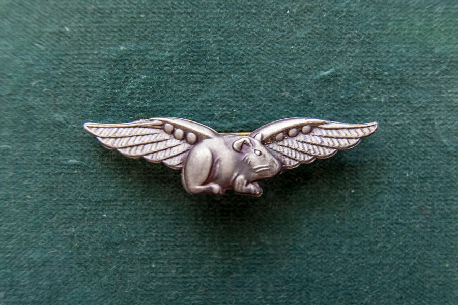Guinea Pig Club badge 2