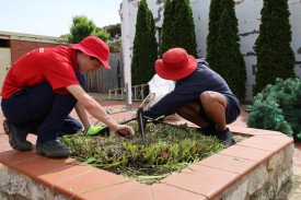 Tyler and Lawrenz hard at work.