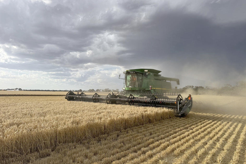 THE recent harvesting of the ‘Burra Ag’ paddock to raise funding for Minyip/Murtoa Football Netball Club changerooms has run to schedule and is yet another good news item for the community involved in a combination of upgrades at the Minyip Recreation Reserve. With critical power upgrades needed to accommodate some of the new facilities, the community has also just won a $10,000 grant towards that project from the Foundation for Rural Regional Renewal’s Strengthening Rural Communities program.