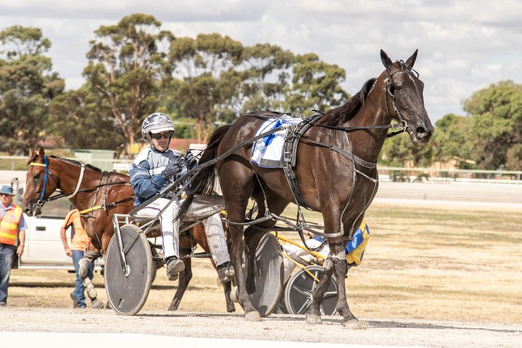 Sunday’s Horsham Pacing Cup offers another opportunity for racing history to be made, joining the likes of the 2023 winner Emma Stewart-trained gelding, Like A Wildfire, driven by Zac Chappenden.