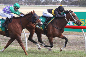 Jade Smith in action with Ballon D’or.