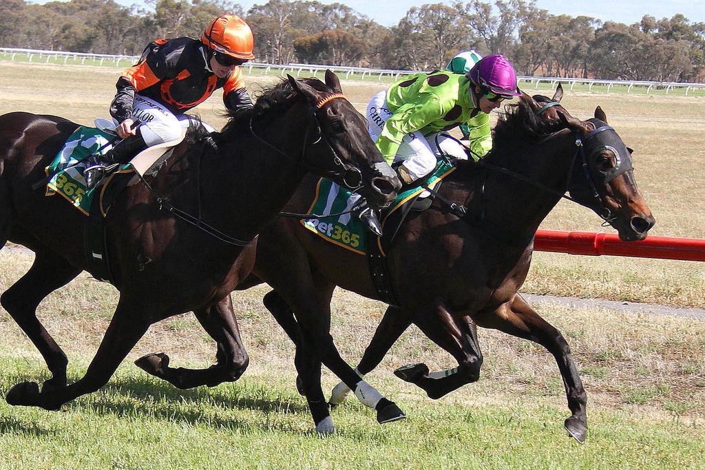 Horsham jockey Christine Puls winning Race 8 on Turn Up The Night.