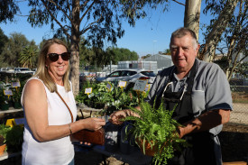 GREEN THUMB: Nicole Leach buying a beautiful fern from Clyde Finch of Sea Lake. Photo: LES GRAETZ