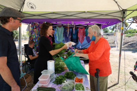 HEALTHY: Jeanette Kirk buying from Evan and Jillian Young’s Rainbow Organic Market Garden stall. Photo: LES GRAETZ