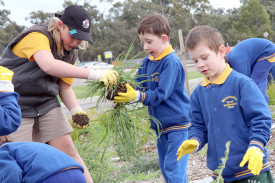 Rody, James and Noah work together to collect weeds