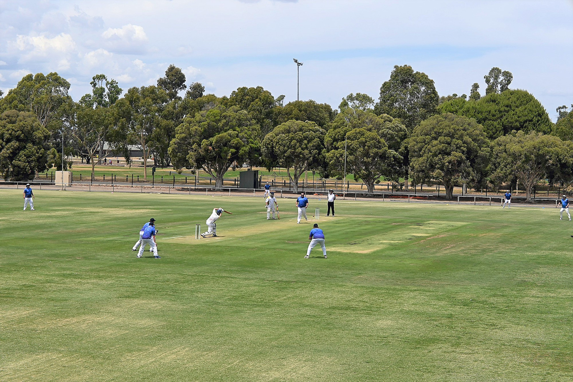 Jung Tigers opening batsman Brenton Hallam drives to the on side during Saturday's clash against Jung Tigers.