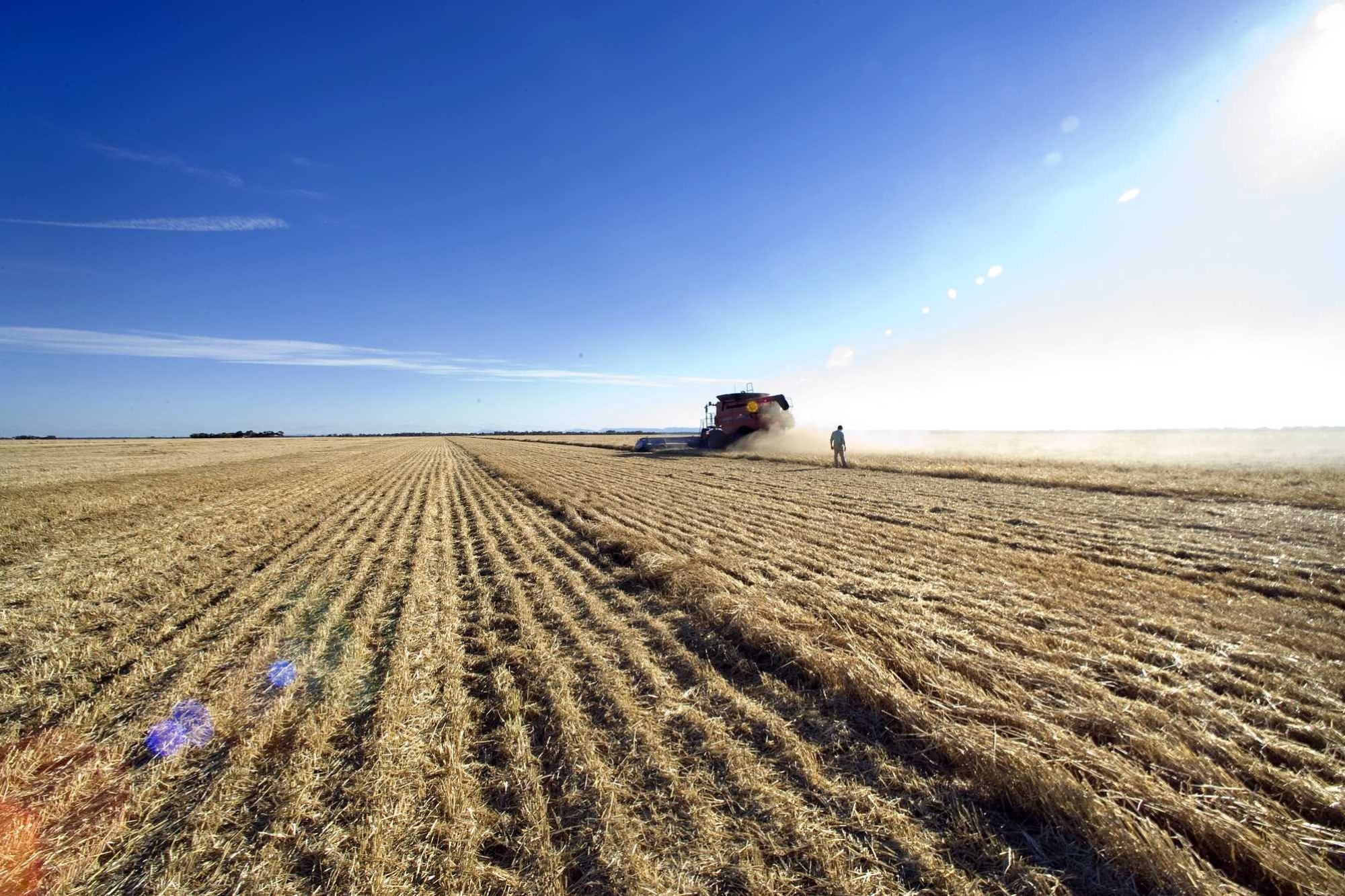 Wimmera farmers provide key info - feature photo