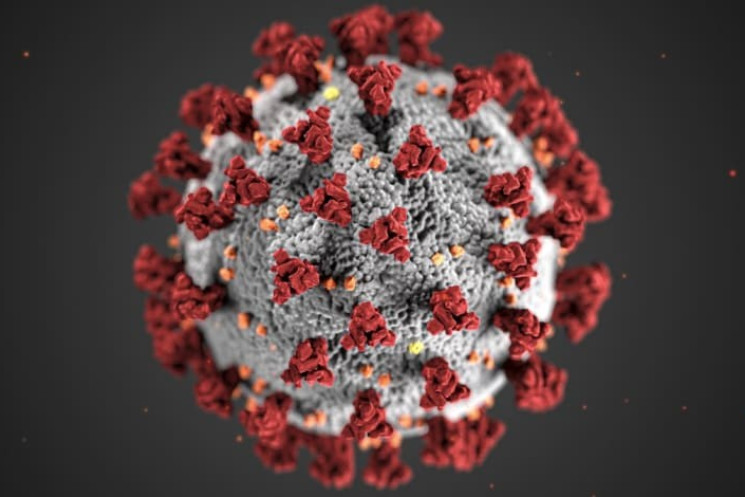 INCREASE: Total number of active COVID-19 cases are rising to start the week. Photo: CONTRIBUTED.