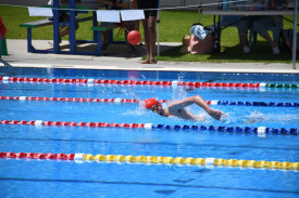 SPEED: Matt Elliss competes in the freestyle event on Friday afternoon at the school’s swimming sports.