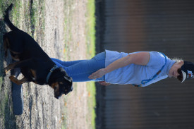 WORKMATES: Michelle Kerr commands her Kelpie, Dougie. Photo: JAMES THOMAS. 