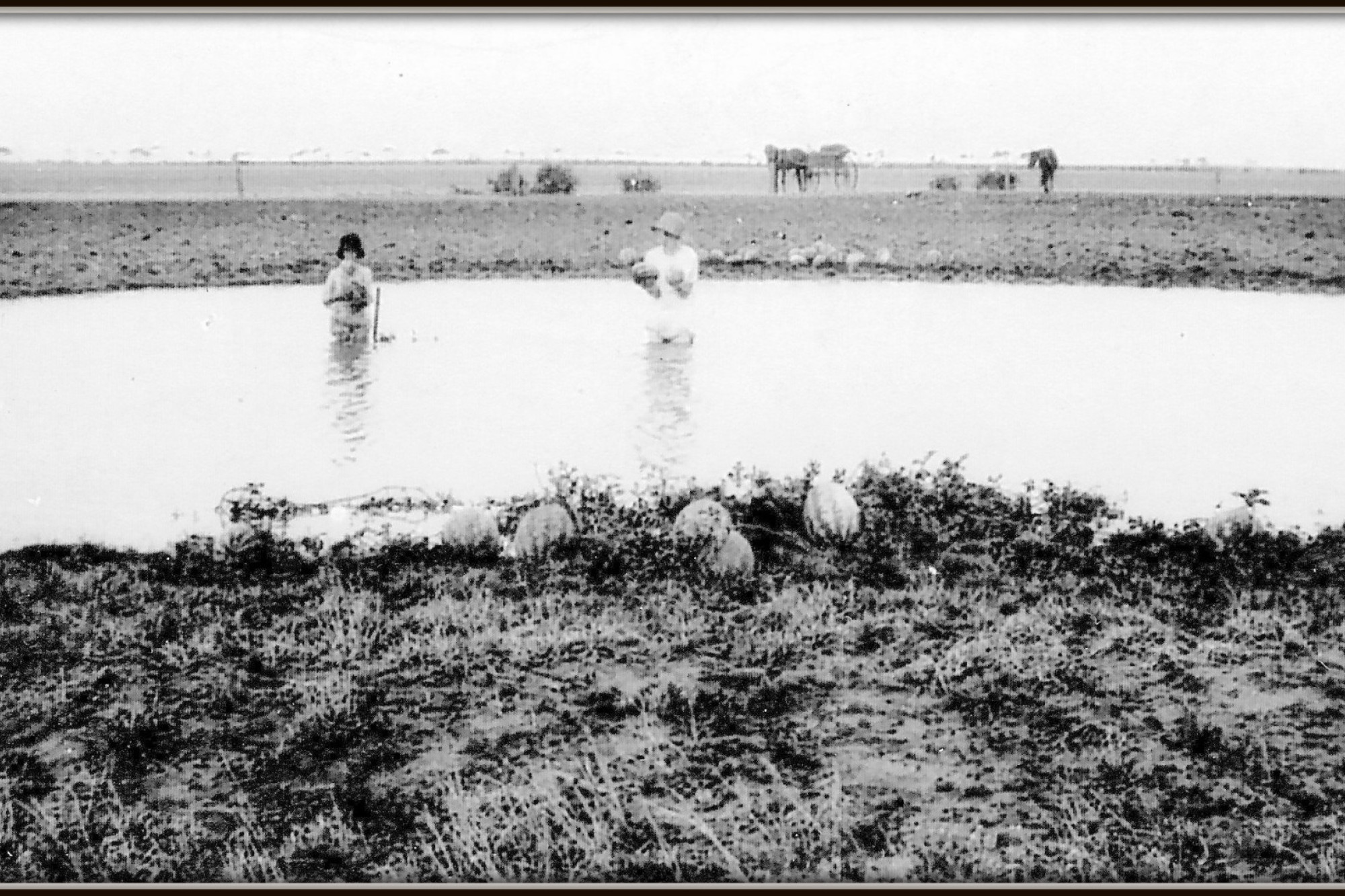 Archivings - feature photo