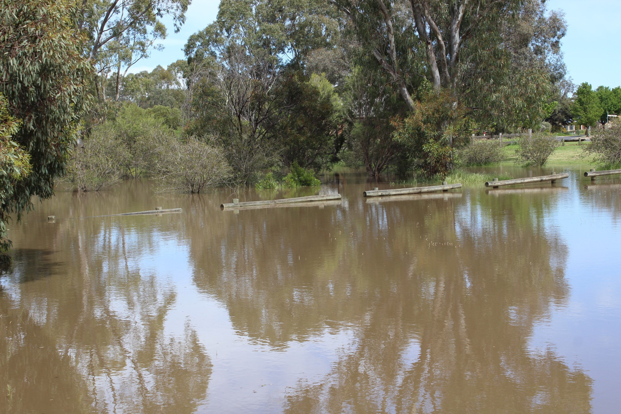 Photo: STACEY WIRTH (October 18, 2022 Horsham Weir)