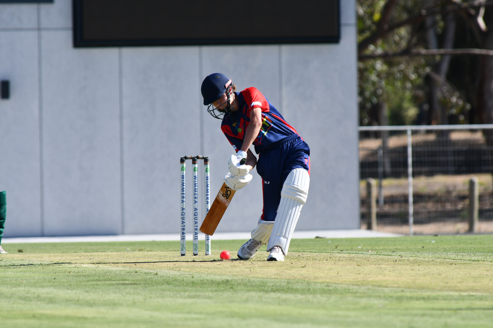 Albert Schorback scored 54 runs and took one wicket. PHOTO: TONY TOMLINS