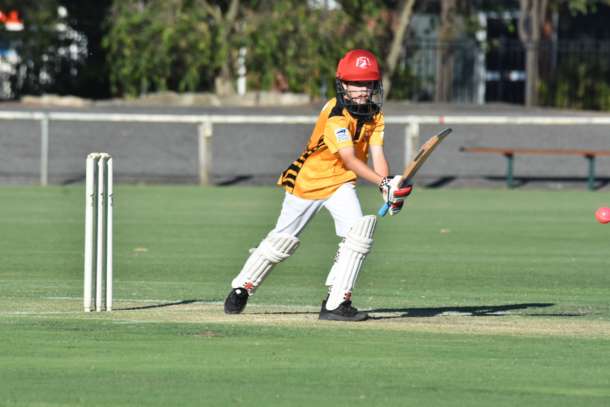 Tigers’ Arkie Mackley gets the ball away for a single. He scored 11 runs off 23 balls and took 0/3 (2). PHOTO: CHRIS GRAETZ