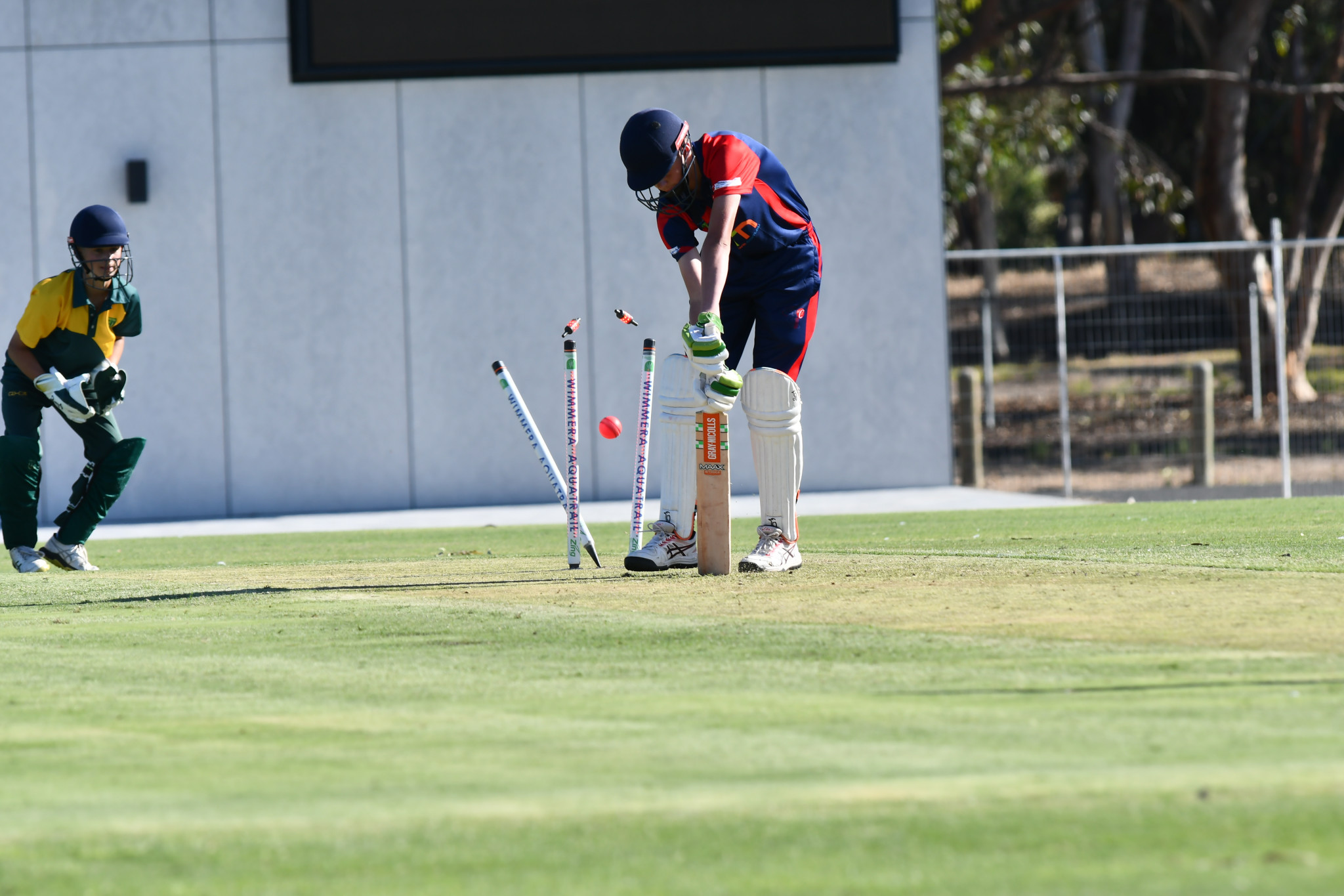 Chase Kannar gets bowled by Hamilton’s Ned Hintum. PHOTO: TONY TOMLINS