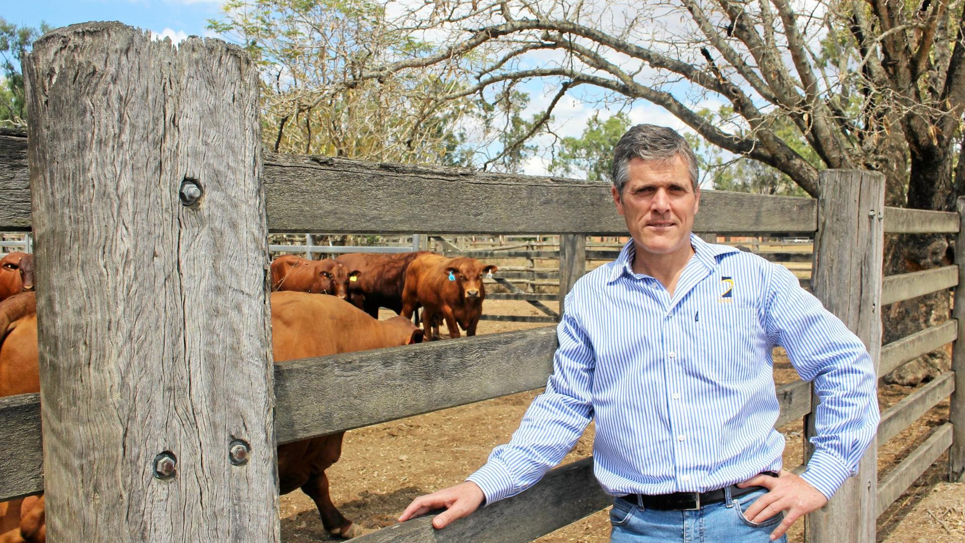 National Farmers Federation president, Mike Guerin said it was beyond time to take regional Australians’ telecommunication concerns seriously and called on the government to implement domestic mobile roaming and not to wait for the outcome of a 12-month Australian Competition and Consumer Commission inquiry that began this week.