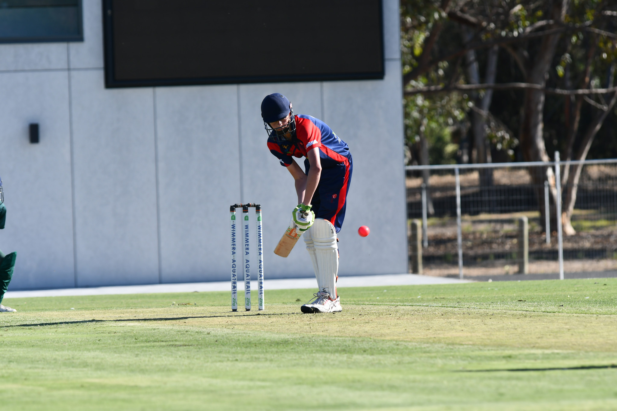 Chase Kannar scored 84 runs. PHOTO: TONY TOMLINS