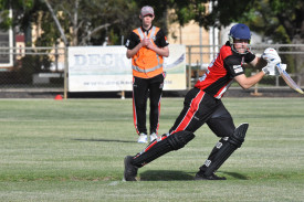 Brock Hamerston’s late cameo helped drive the upset.
