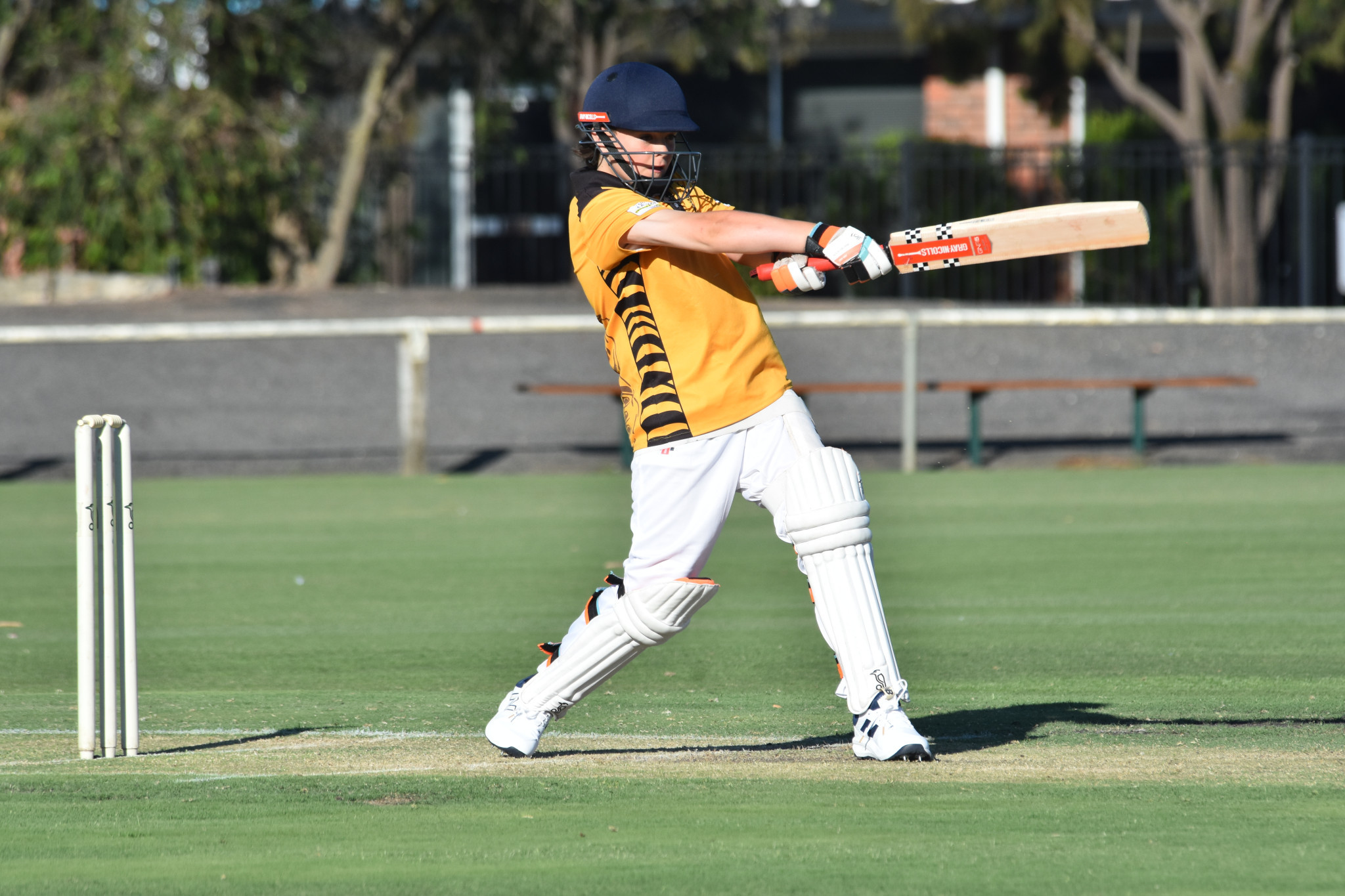 Tigers’ Harvey Brown remained unbeaten on six. PHOTO: CHRIS GRAETZ