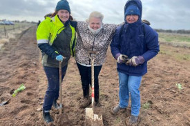 Volunteer planters Rose Feely, Cr Claudia Haenel and Cr David Bowe with their backs to the wind.